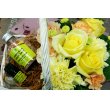 静岡県静岡市駿河区ブルーメン　セイビの花　フラワーアレンジ（イエロー） エッセンシャルオイル・バスソルトセット